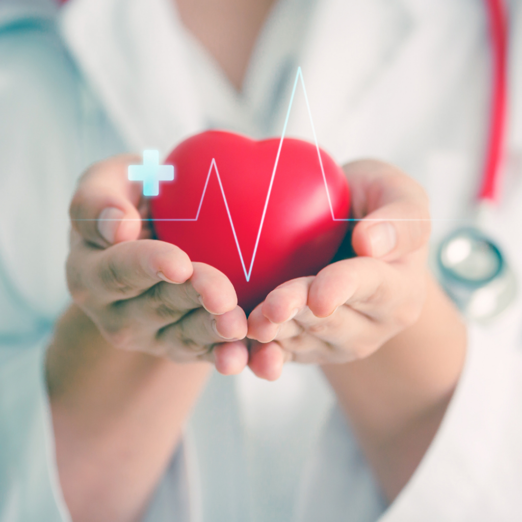 Holter Cardiaco a 12 Derivazioni